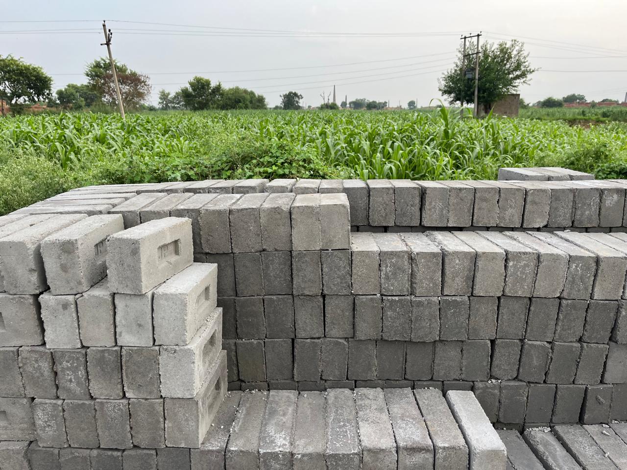 Fly ash brick product